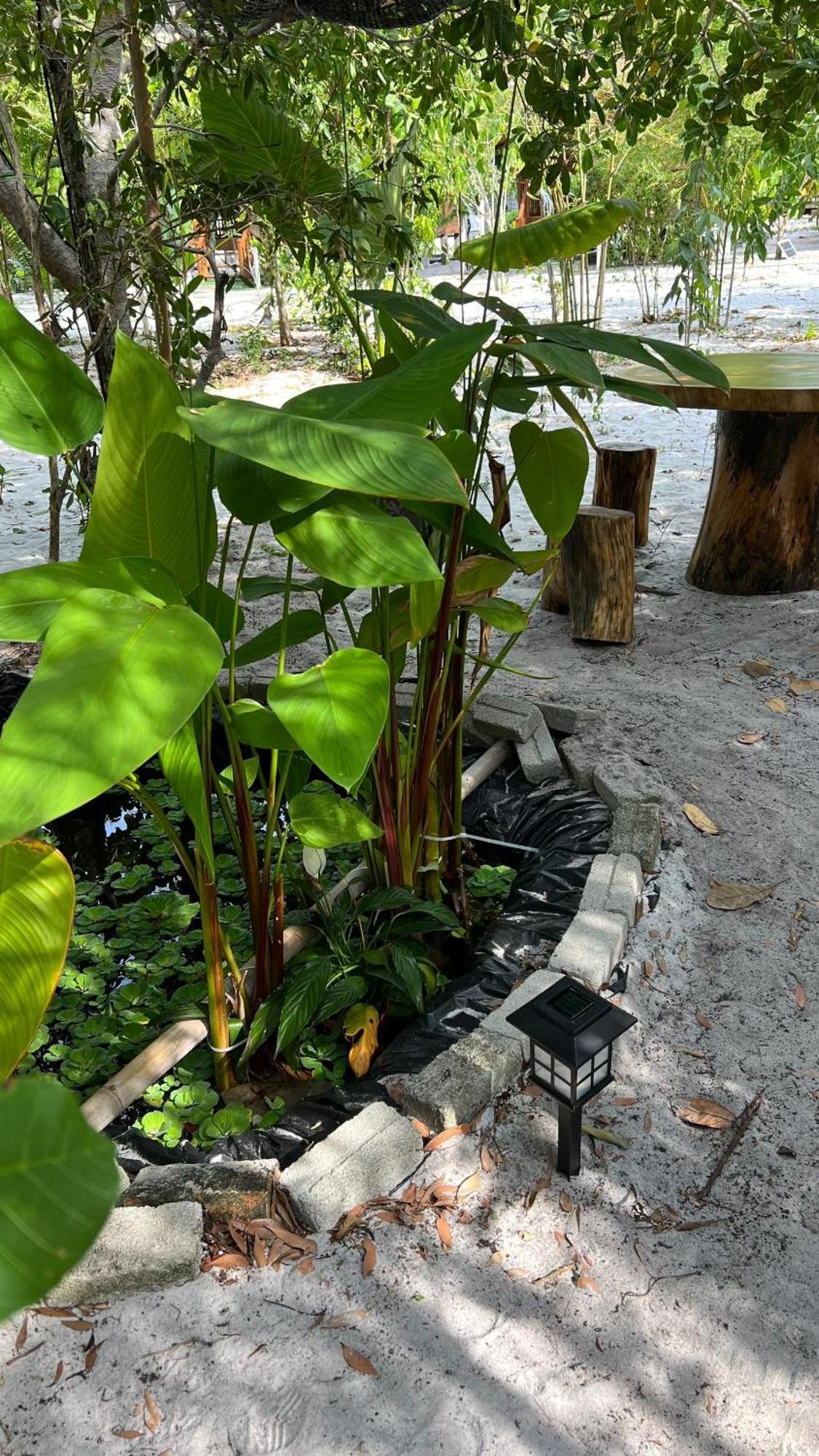Golden Chenang Village Pantai Cenang  Exterior foto