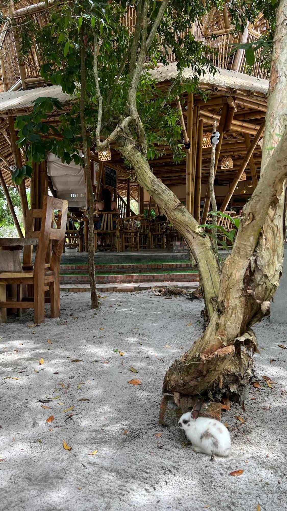 Golden Chenang Village Pantai Cenang  Exterior foto